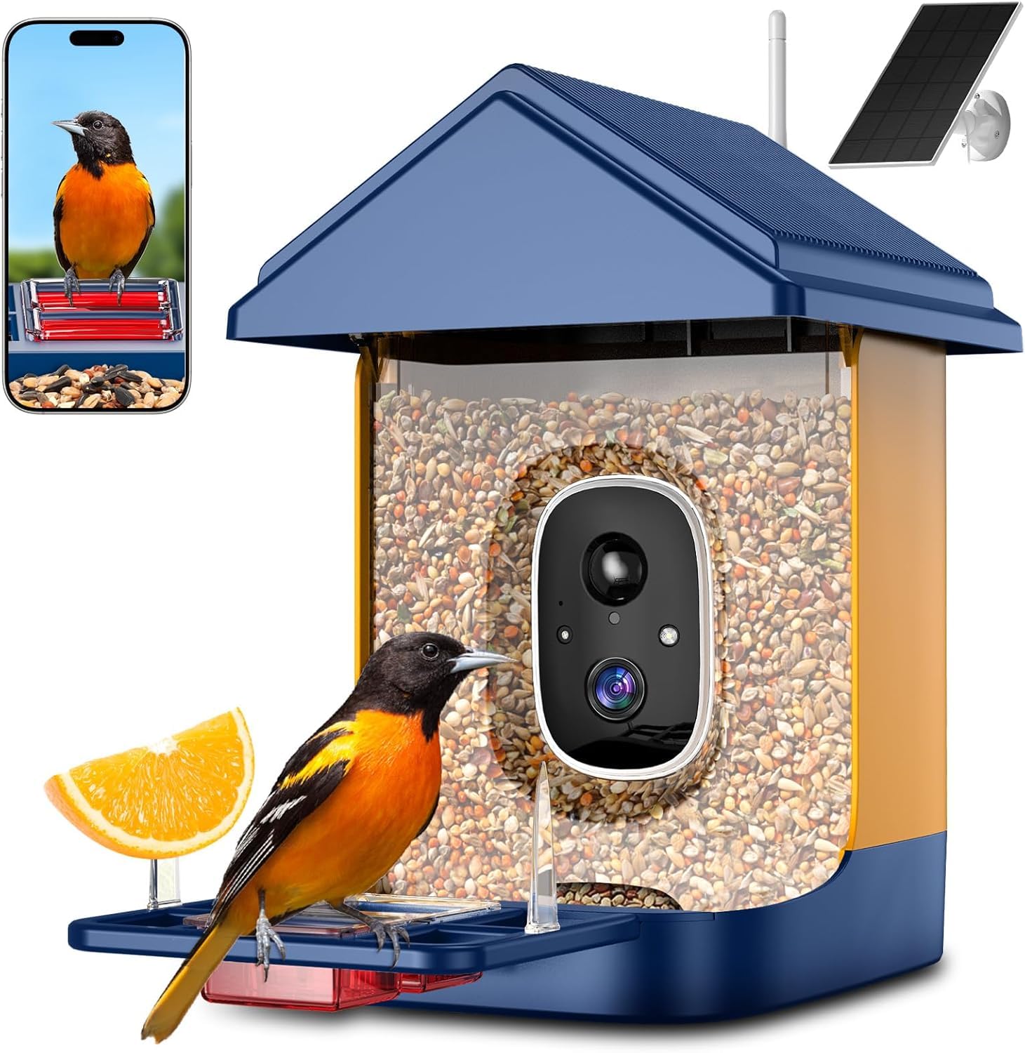 Mangeoire intelligente oiseaux caméra : identifiez 10 000 espèces