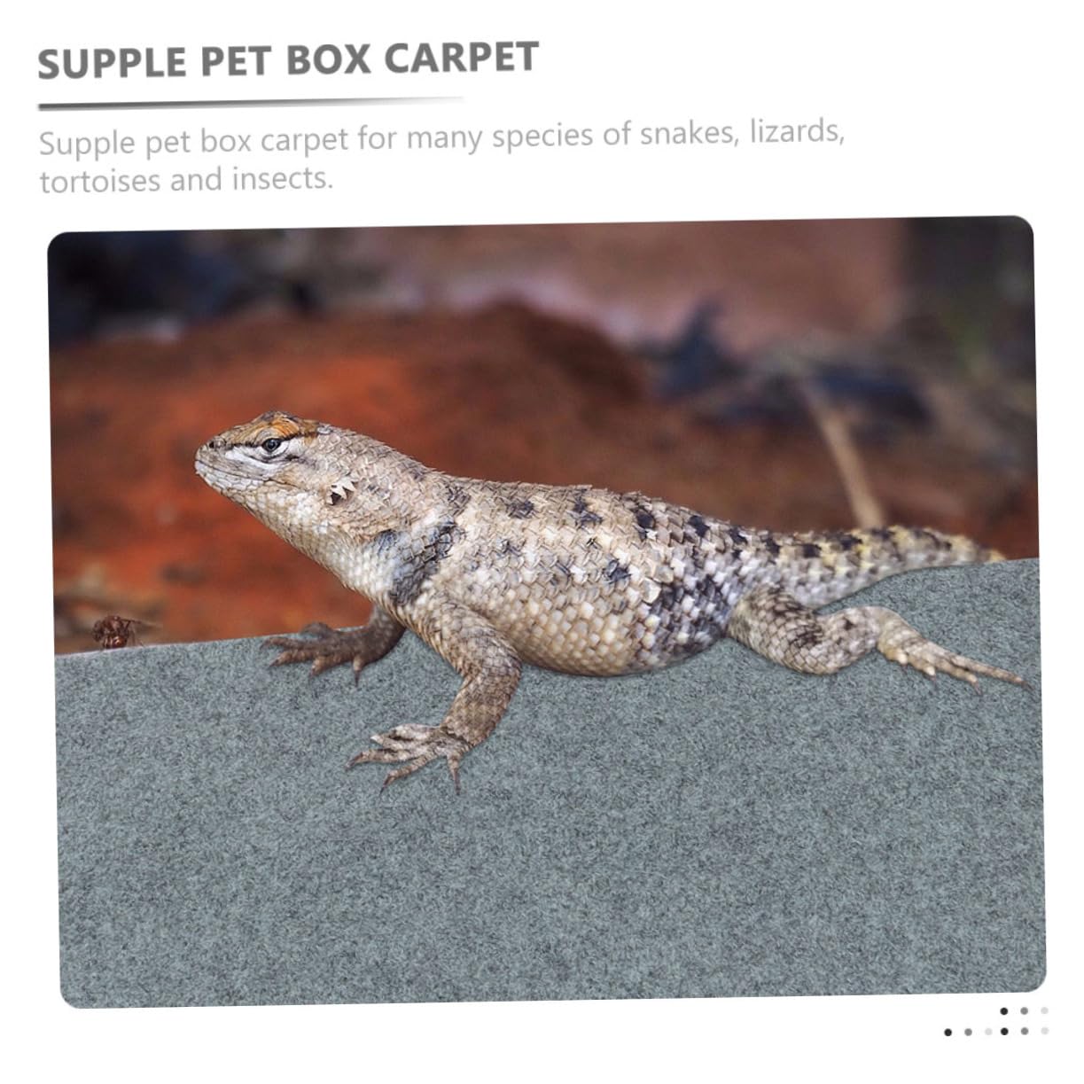 Tappeto per Terrario Rettili 2 Pezzi in Poliestere per Box | Serpente e Lucertola, Accessorio per Pet Box, Formato Pratico per Allestimento Interno