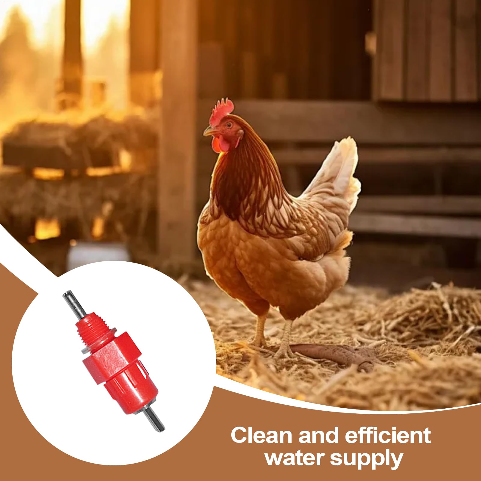 Abbeveratoio A Capezzolo Per Pollaio - Bocchettoni Per Abbeveratoio Galline,Fontana Bere Automatica Inossidabile Portatile Per Gabbie Uccelli Capre Conigli Paperi Polli Inverno Giardino