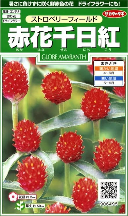 Amazon サカタのタネ 実咲花6495 赤花千日紅 ストロベリーフィールド 花