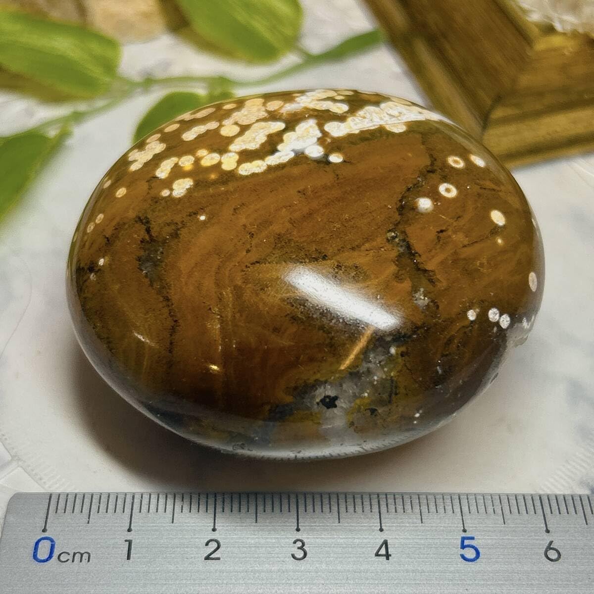 Amazon.co.jp: E9075オーシャンジャスパー＊Ocean Jasper＊ペブル