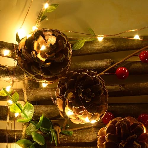 Miniatura 8 de 4 paquetes de 50 luces LED blancas cálidas alimentadas por baterías, mini luces de hadas de Navidad, 16.4 pies de alambre de cobre flexible, para