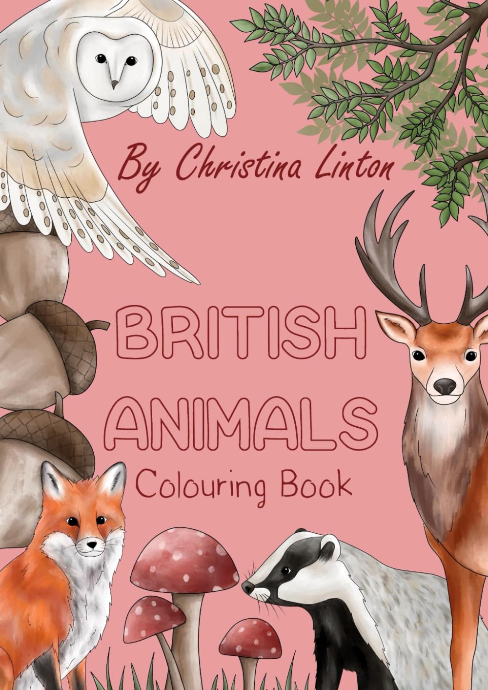 British Animals Colouring Book