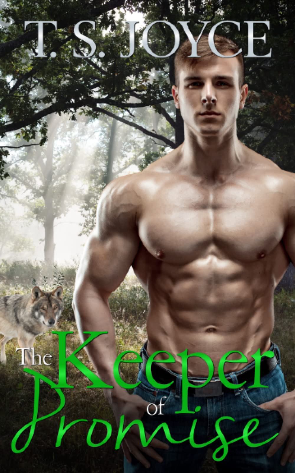 The Keeper of Promise (The Wolves of Promise Falls)