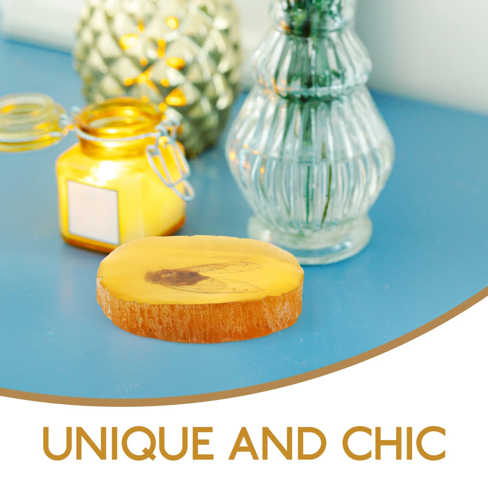 Luxshiny Amber Insect, Natural Cicada Specimen Pendant Amber Stone Ornament Crystal Samples Collection Science Education for Jewelry Accessories