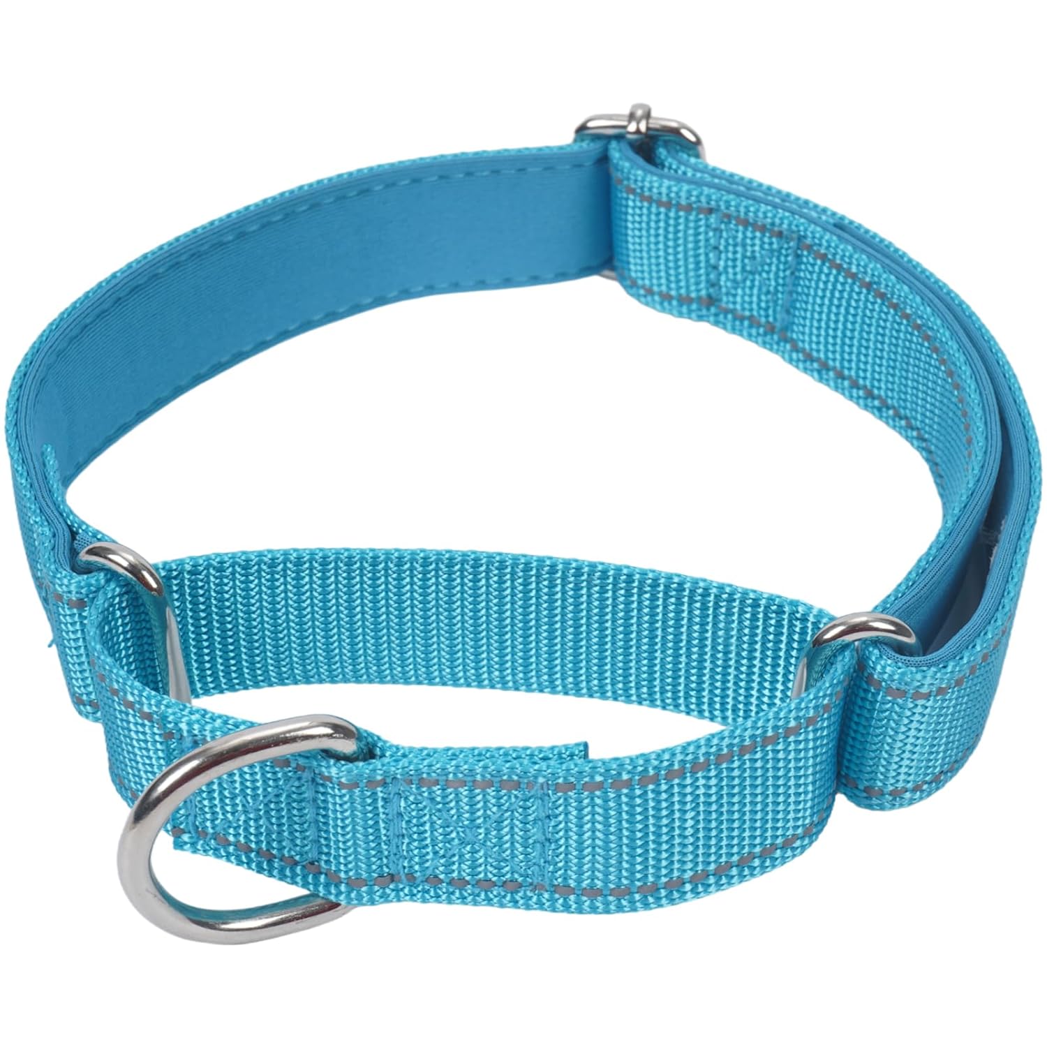 SGODA Martingale Dog Collar, Reflective Nylon Padded Dog Training Collars for Small Dogs, Blue S
