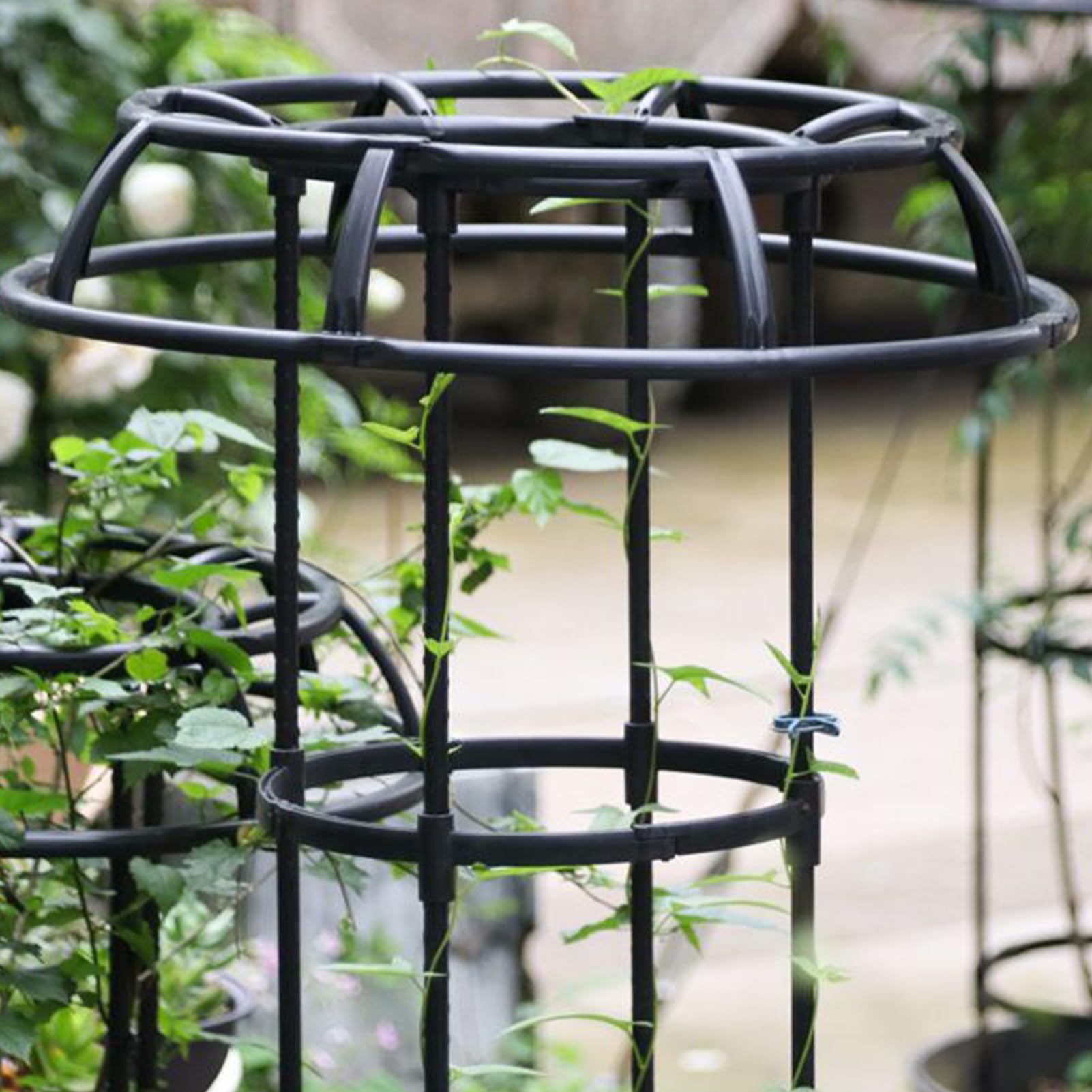 Enrejado para Plantas trepadoras Exterior Tapa De Hongo Resistente Al Óxido | Enrejado con tapa seta para macetas para Jardín Casa Patio Balcón Terraza Pepinos Uvas Cerezos