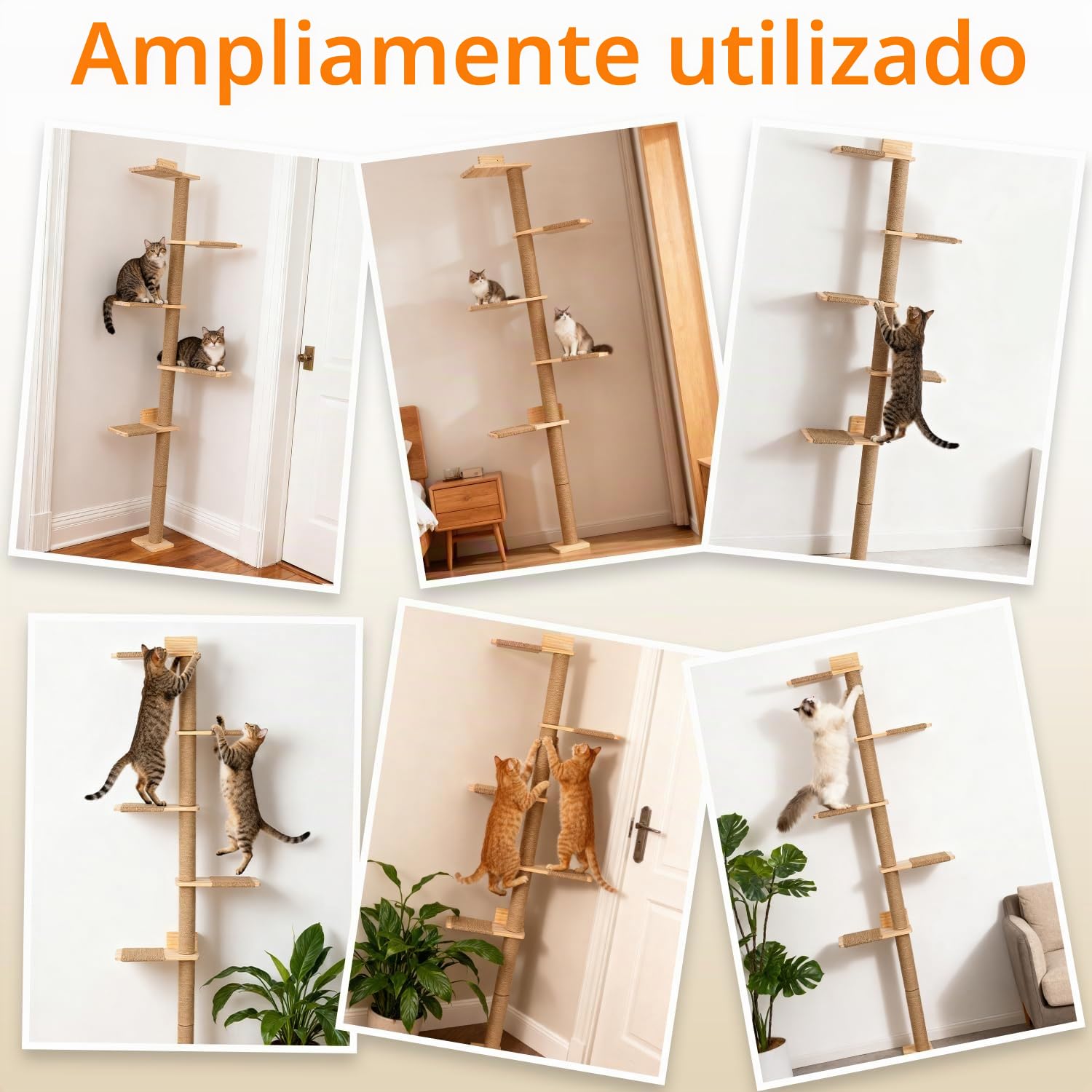 Rascador Grande de 205 cm, Pared de Escalar para Gatos, Ajustable en Altura, Torre para Gatos de 5 Niveles, árbol de Gatos montado en la Pared para Que los Gatos escalen y rasquen