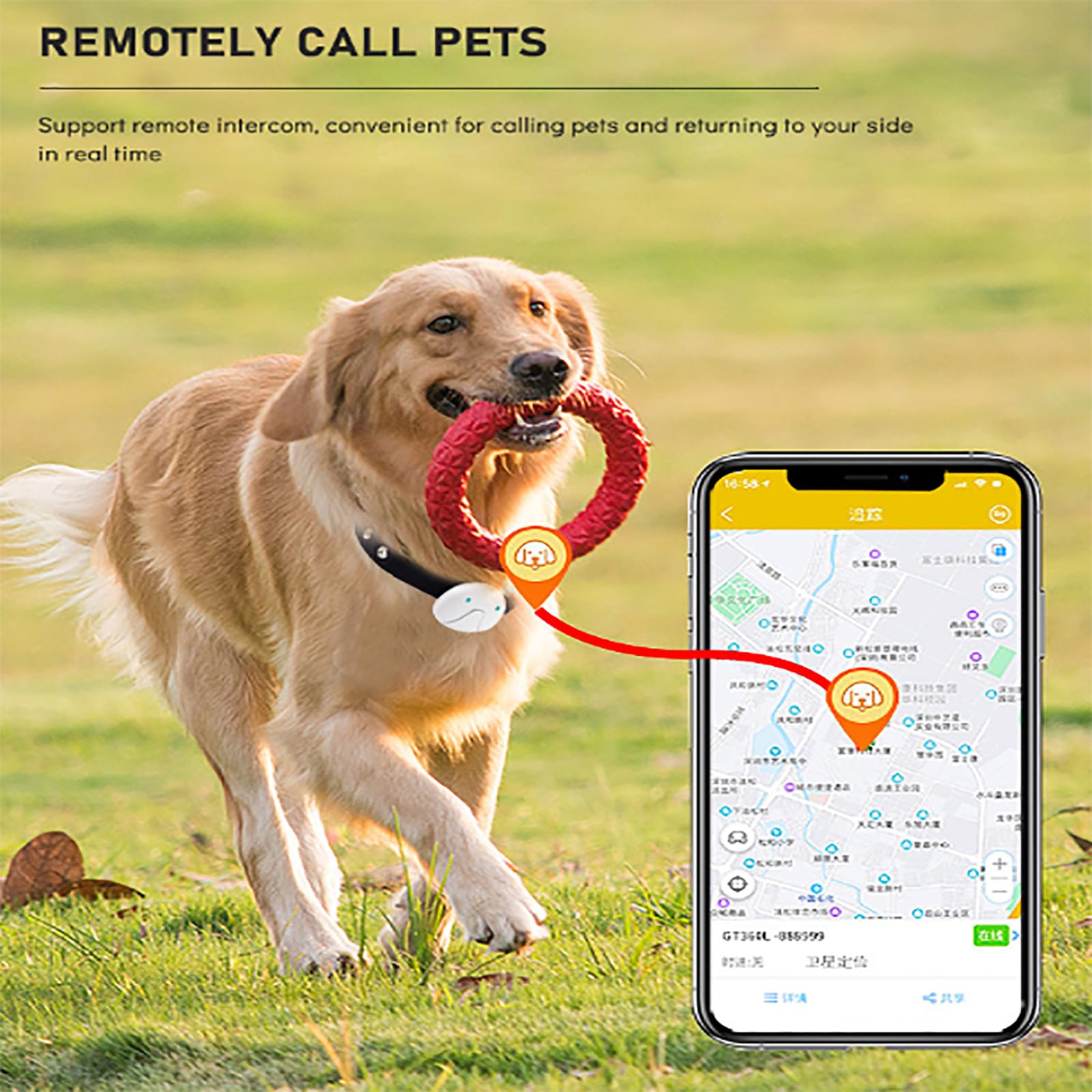 ERICAT Localizador GPS para Mascotas, Rastreador De Mascotas con Collar, Diseño a Prueba De Agua, Posición GPS Y Rastreador De Actividad Inteligente, Llamada De Voz Remota, para Gatitos Y Cachorros