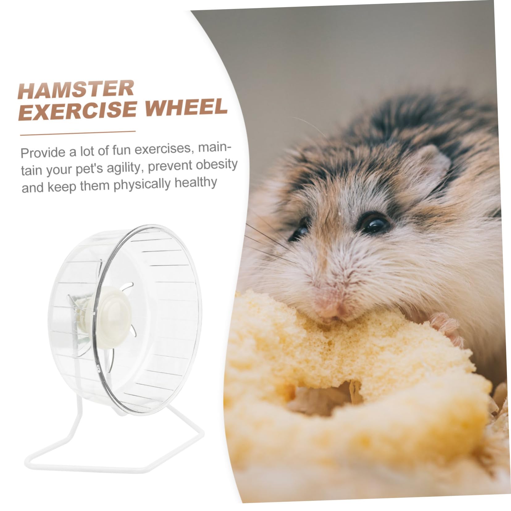 Leises Laufrad zur Bewegungsförderung und Gewichtskontrolle für Hamster aus Kunststoff und Eisen für Kleine Haustiere Wie Zwerghamster und Rennmäuse