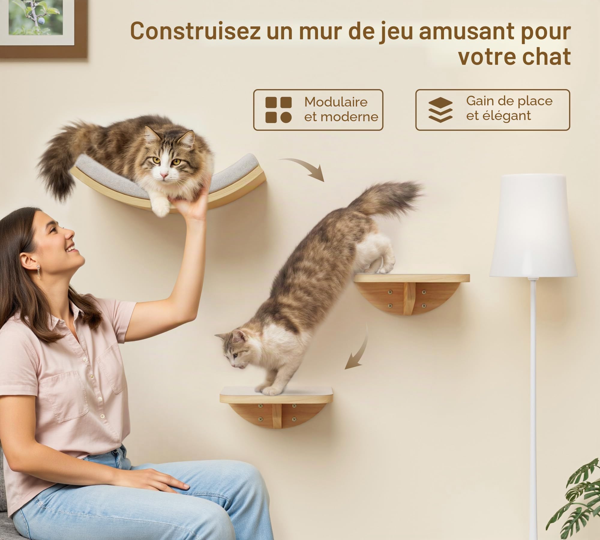 Mur d'escalade pour chat - Étagère murale incurvée avec tapis en mousse - Meuble mural en bois massif pour escalade/jeu/dormir