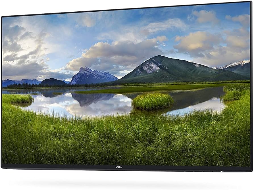 Amazon.com: Dell UltraSharp 24 Monitor: U2419H Without Stand