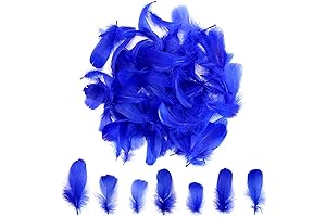 Lamar Feather Royal Blue Bulk Craft Feathers - 300PCS 2-3 inch Blue Feather for Crafts