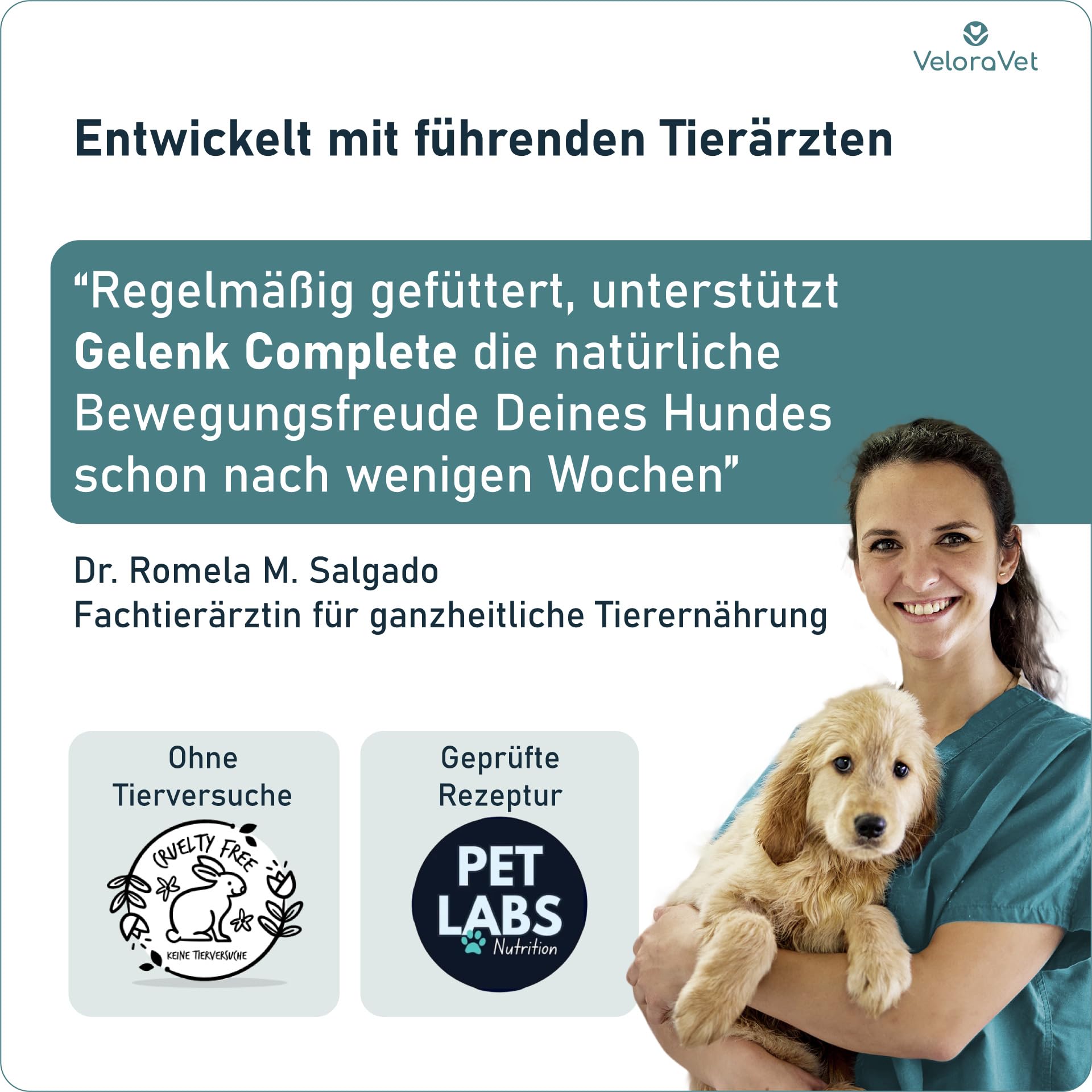Grünlippmuschel Gelenktabletten Hund – HOCHDOSIERT mit Grünlippmuschelpulver, MSM, Teufelskralle, Glucosamin & Kollagen – Keine Kapseln, hohe Akzeptanz – Gelenk- & Knochenschutz – 60 Stück