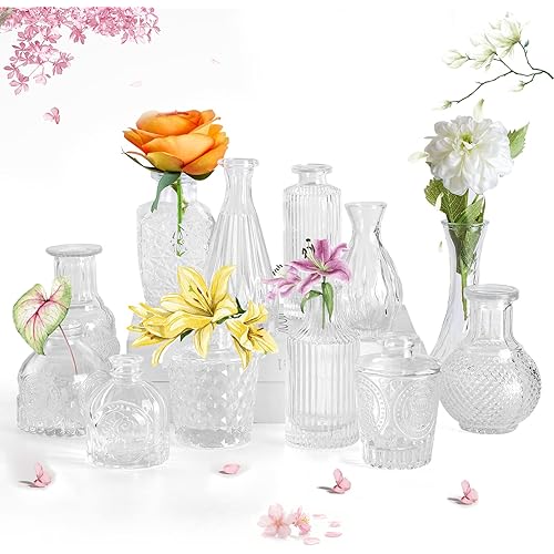 HIONXMGA Glass Bud Vases in Bulk 12PCS,Small Clear Bud Vase for Flowers,Mini Cute Vintage Vases for Rustic Wedding and Centerpieces Table Decorations