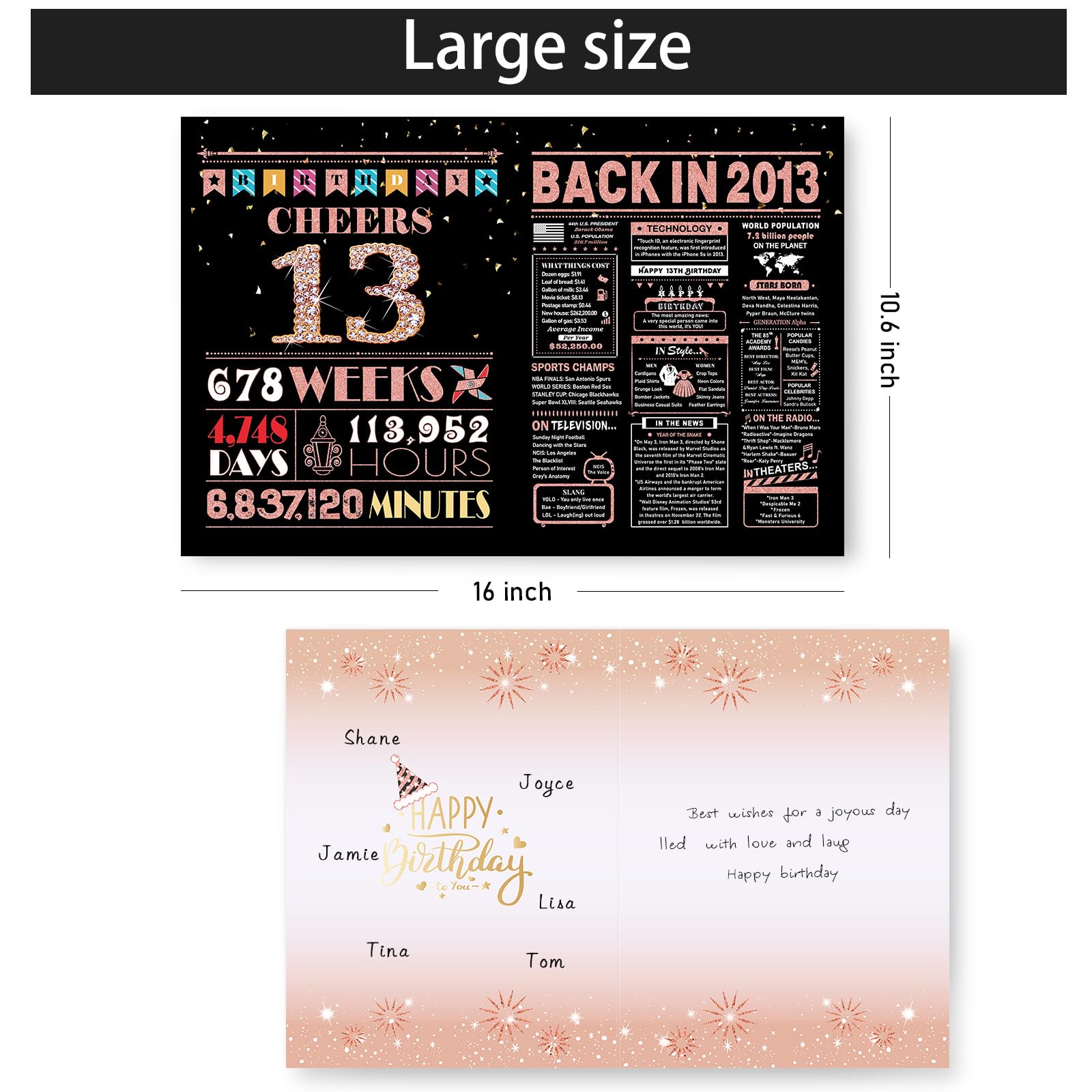 13th Birthday Card, 13th Birthday Decorations for Girls, Funny Gifts for Daughter, Back in 2013, Rose Gold Card