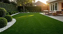 1 KG De sementes De Grama Esmeralda Americana (100% PURAS)