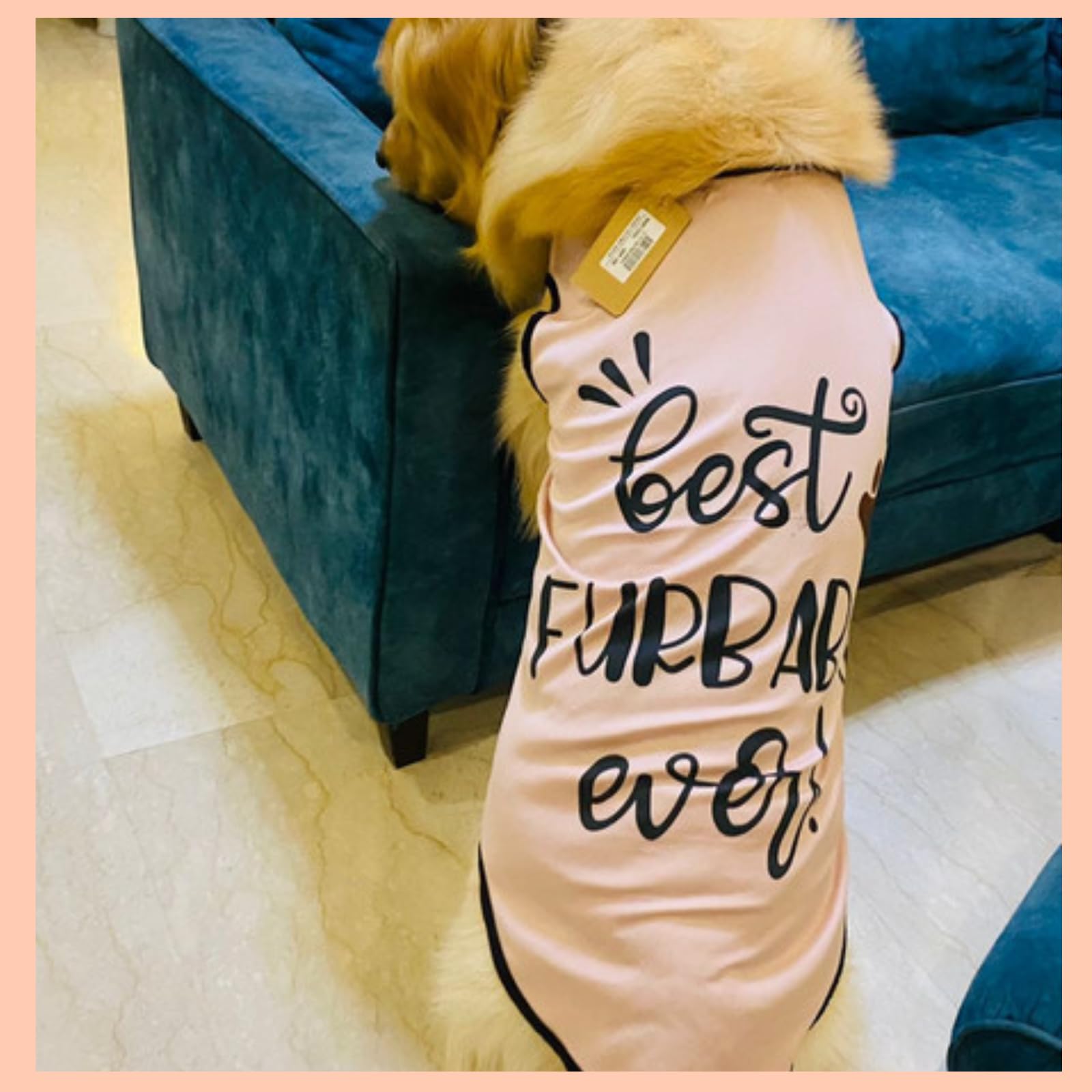 Lulala Pet t-Shirt Printed Round Neck Sleeveless Dog Vest Tank T-Shirt Tees Apparel Clothes Tees Gift for Dogs (Yellow) Small Medium and Large Dogs Cats (28 Inch) (B0CCRMZ351) Amazon Price History, Amazon Price Tracker