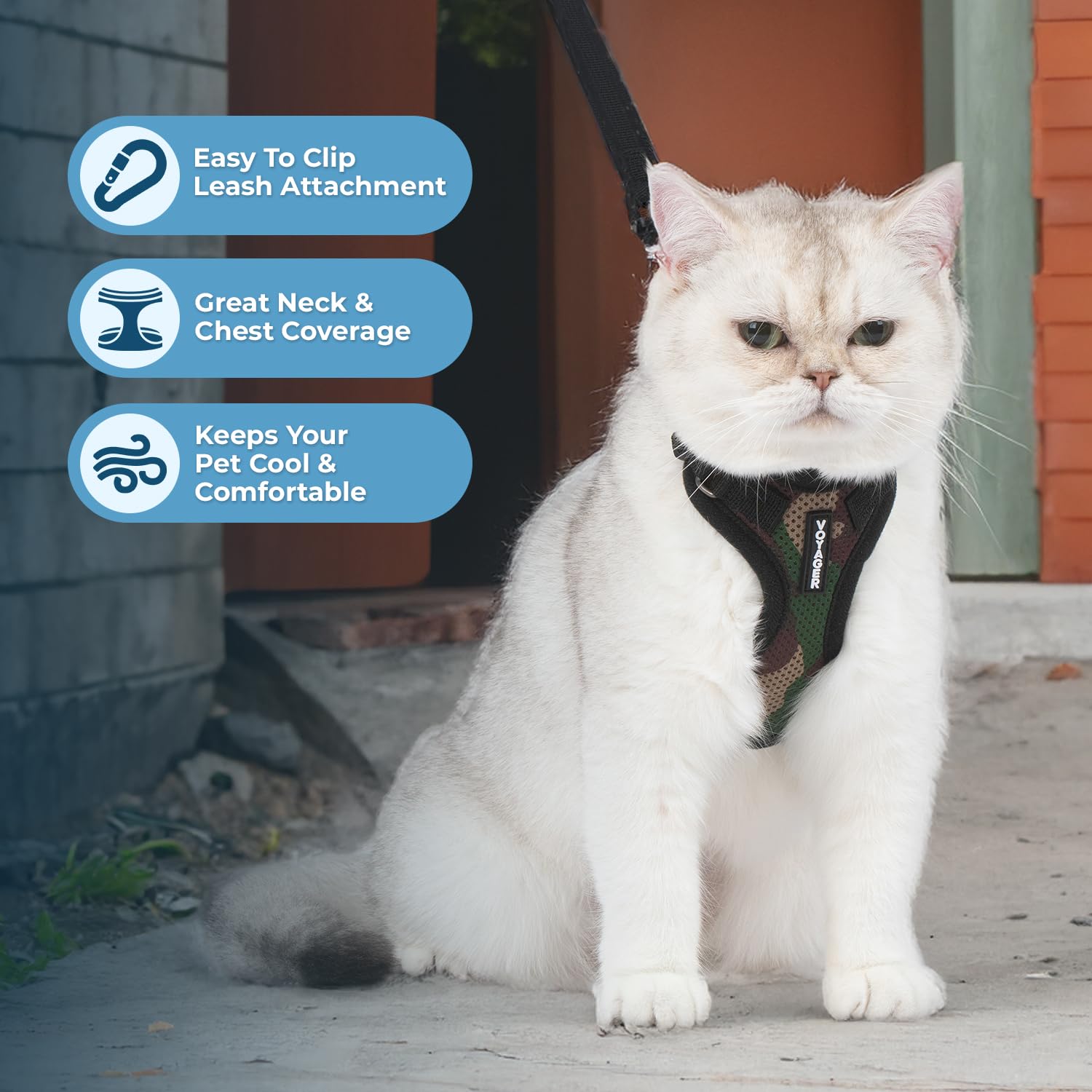 Voyager Step-in Lock Cat Harness and Reflective Cat Leash with Neoprene Handle by Best Pet Supplies - Supports Small, Medium and Large Breed Cats, Army, size XXS - 5ft - 5