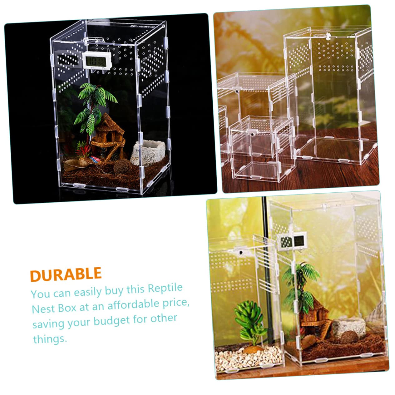 Toddmomy Contenedores Transparentes para Reptiles Cajas De Hábitat Estuches Magnéticos para Arañas y