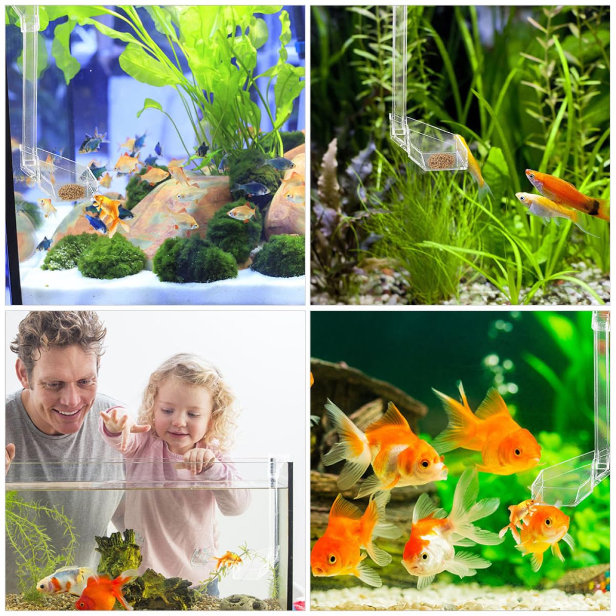 Happyyami 3piezas Alimentador Transparente para Peces y Camarones Sistema Antiesparcimiento para Acuarios y Peceras