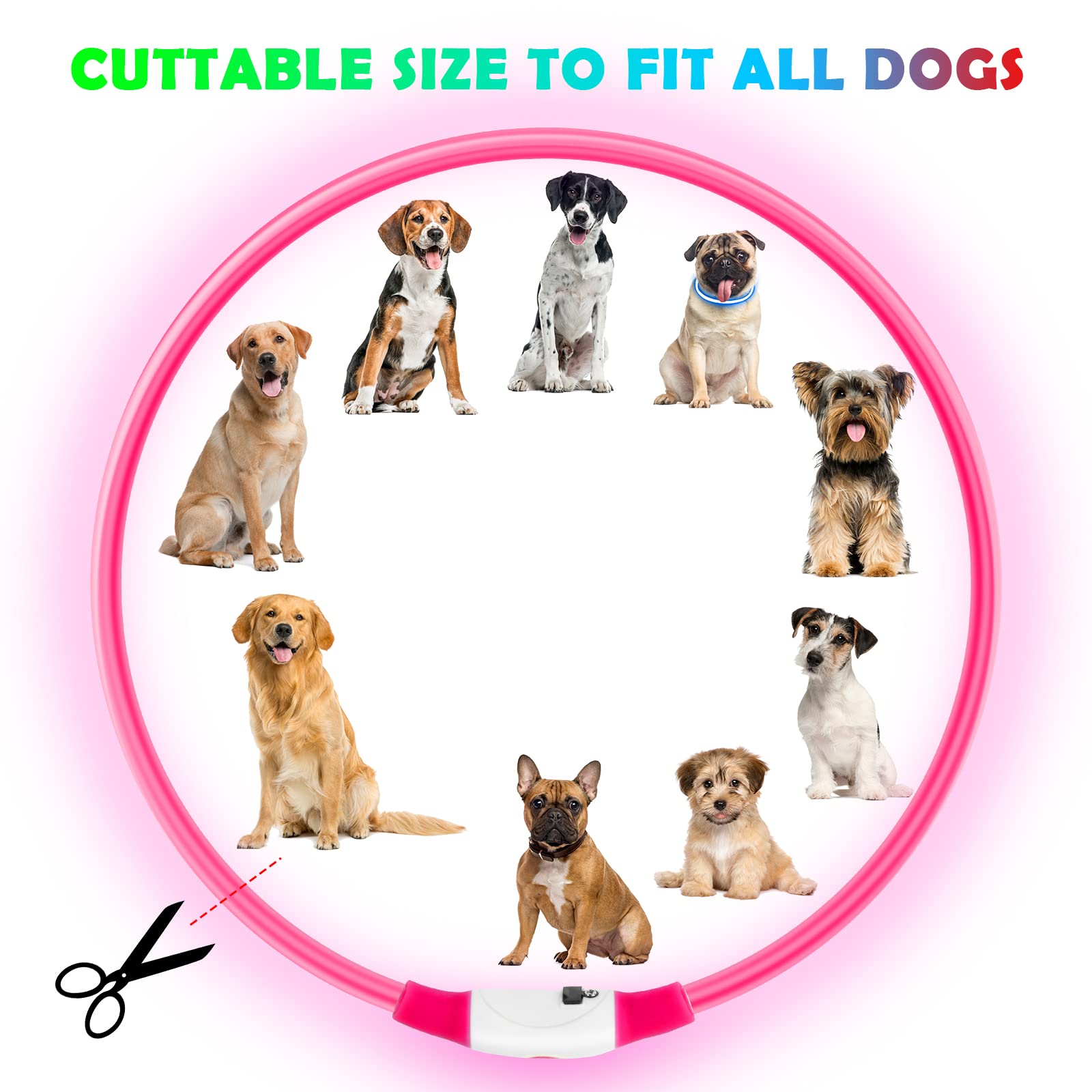 AUAUY Collare Luminoso per Cani, Collare per Animali Domestico LED Ricaricabile USB, Collare di Lunghezza Regolabile Impermeabile per Cani di Taglia Piccola Media Grande e Gatti (Rosa)