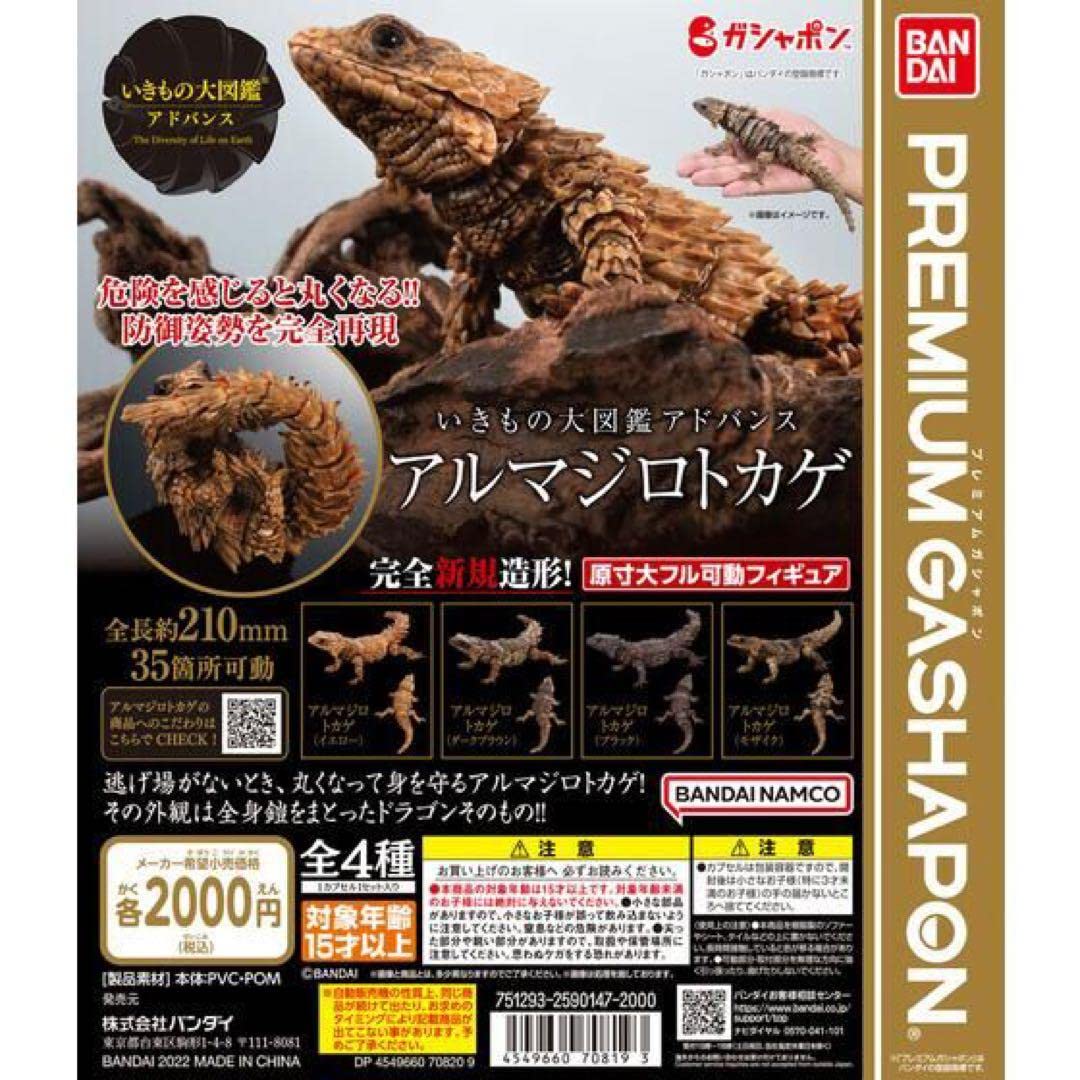 Amazon.co.jp: いきもの大図鑑 アドバンス アルマジロトカゲ