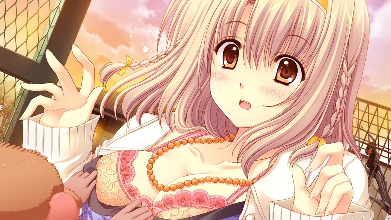 Amazon.co.jp: 世界征服彼女 完全生産限定版 -Switch 【特典】B6 
