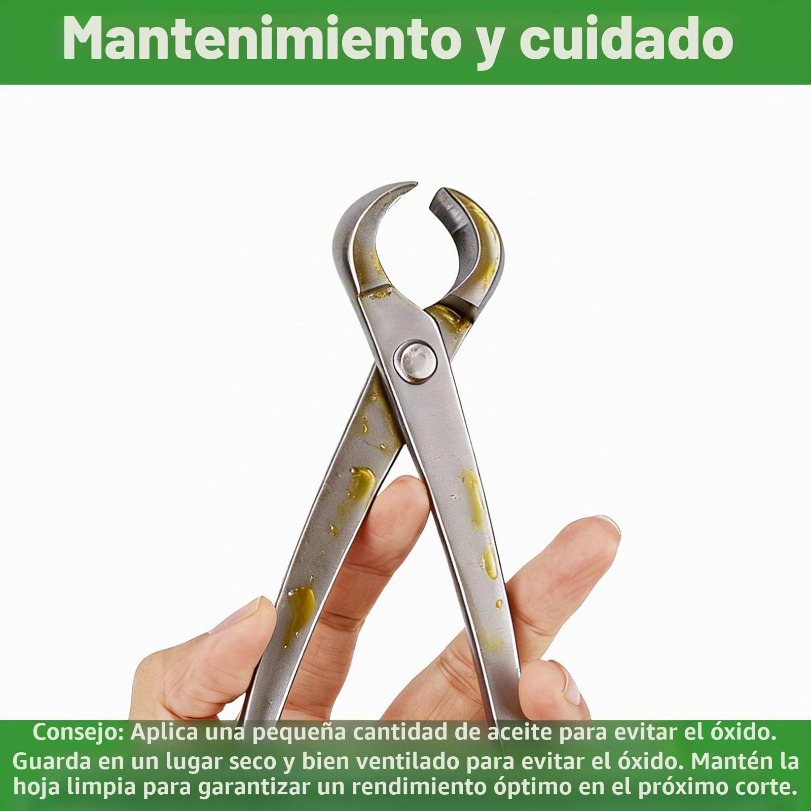 3uds Herramientas para Bonsai, Profesional Acero Inoxidable con Cortador de Pomo Cortador Cóncavo y Tijeras Hojas para Poda Modelado y Cuidado Plantas Precisión