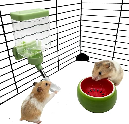 Beautiful view of Best Dwarf Hamster Feeder On Amazon
