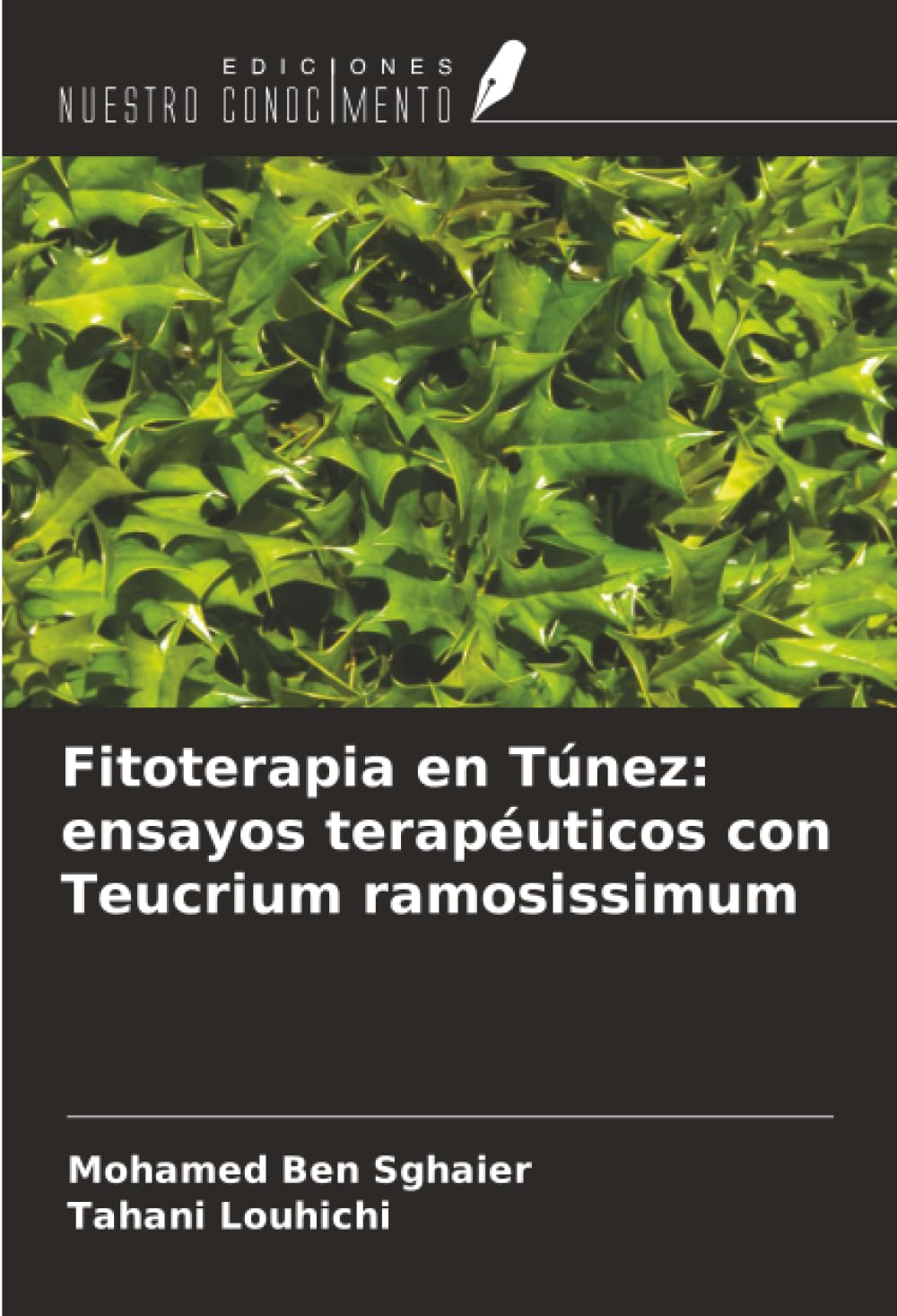 Fitoterapia en Túnez: ensayos terapéuticos con Teucrium ramosissimum