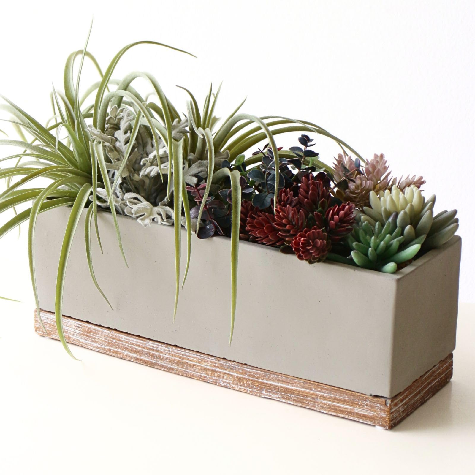 Amazon.co.jp: 鉢 プランター セメント 長方形 横長 おしゃれ かわいい Amazon.co.jp: 鉢 プランター セメント 長方形 横長 おしゃれ かわいい