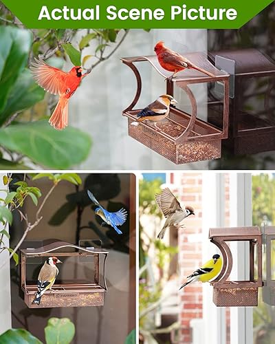 Miniatura 6 de Comedero para pájaros con ventana, de metal, con ventosas fuertes, grande al aire libre para ver aves como regalo (curvado)