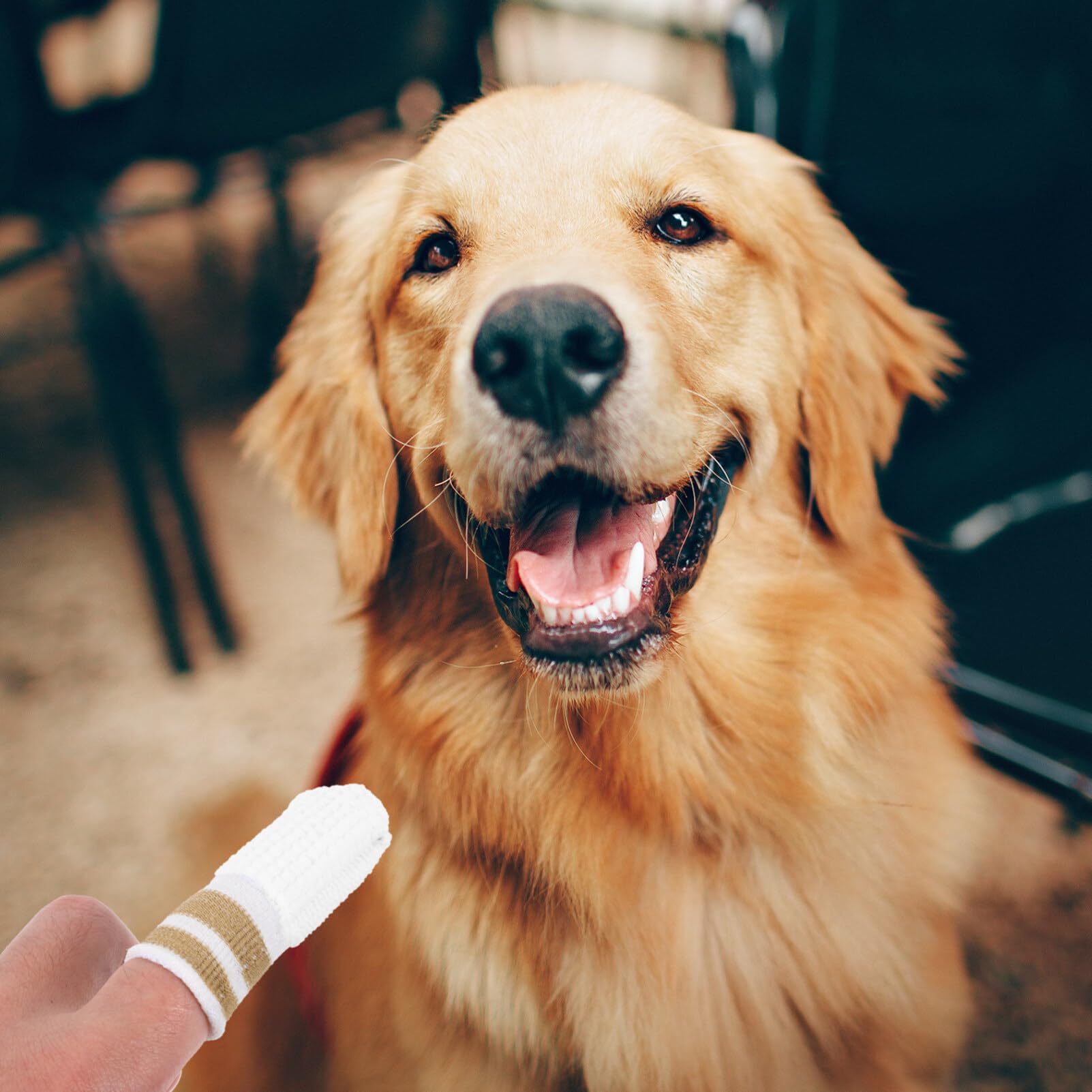 SUPVOX 6pcs Teeth Wipes for Dogs & Cats Dog Toothbrush Gentle & Gum Care Pet Wipes Remove Bad Breath by Removing Plaque and