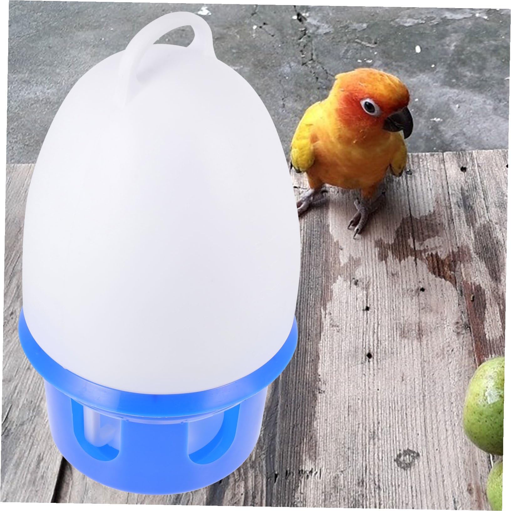 Abreuvoir pour Pigeons en PVC, Bleu, Portable, avec Échelle