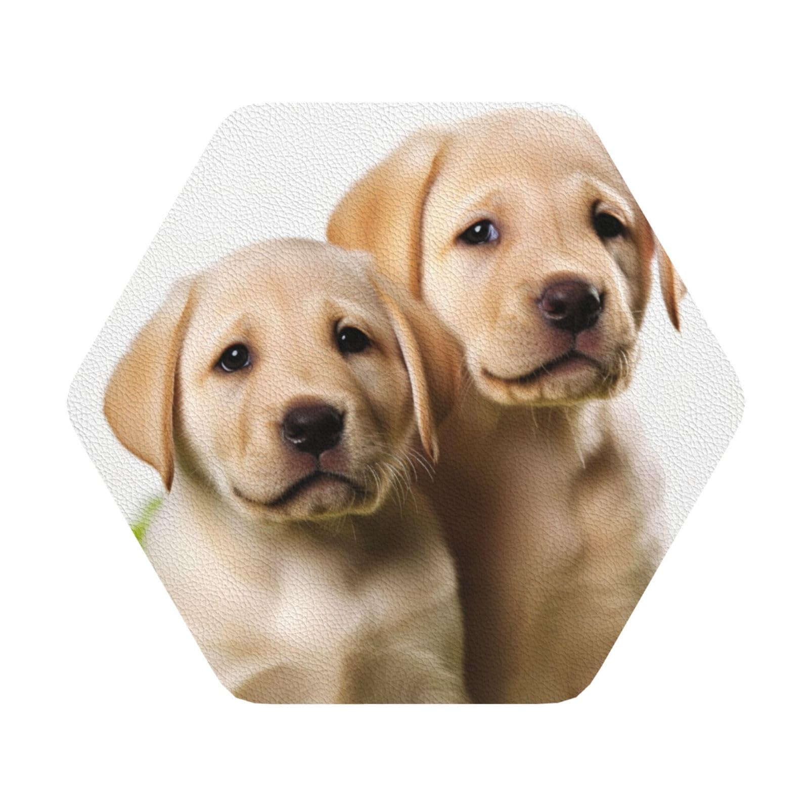 Fodpand Hexagon Funny Labrador Puppy Dog Drink Coasters Set Of 4, Heat Resistant Leather Coasters Fuuny Bar Beer Beverage Coaster For Drinks, Absorbent Cup Mat For Tabletop Protection, Housewarming Gift