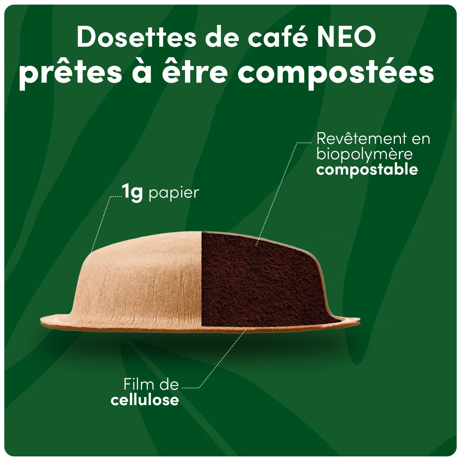 NEO Marrakech Tea par NESCAFÉ® Dolce Gusto® - 60 Sachets de thé (5 boîtes de 12 sachets) - Compatibles uniquement avec les machines à café NESCAFÉ Dolce Gusto NEO