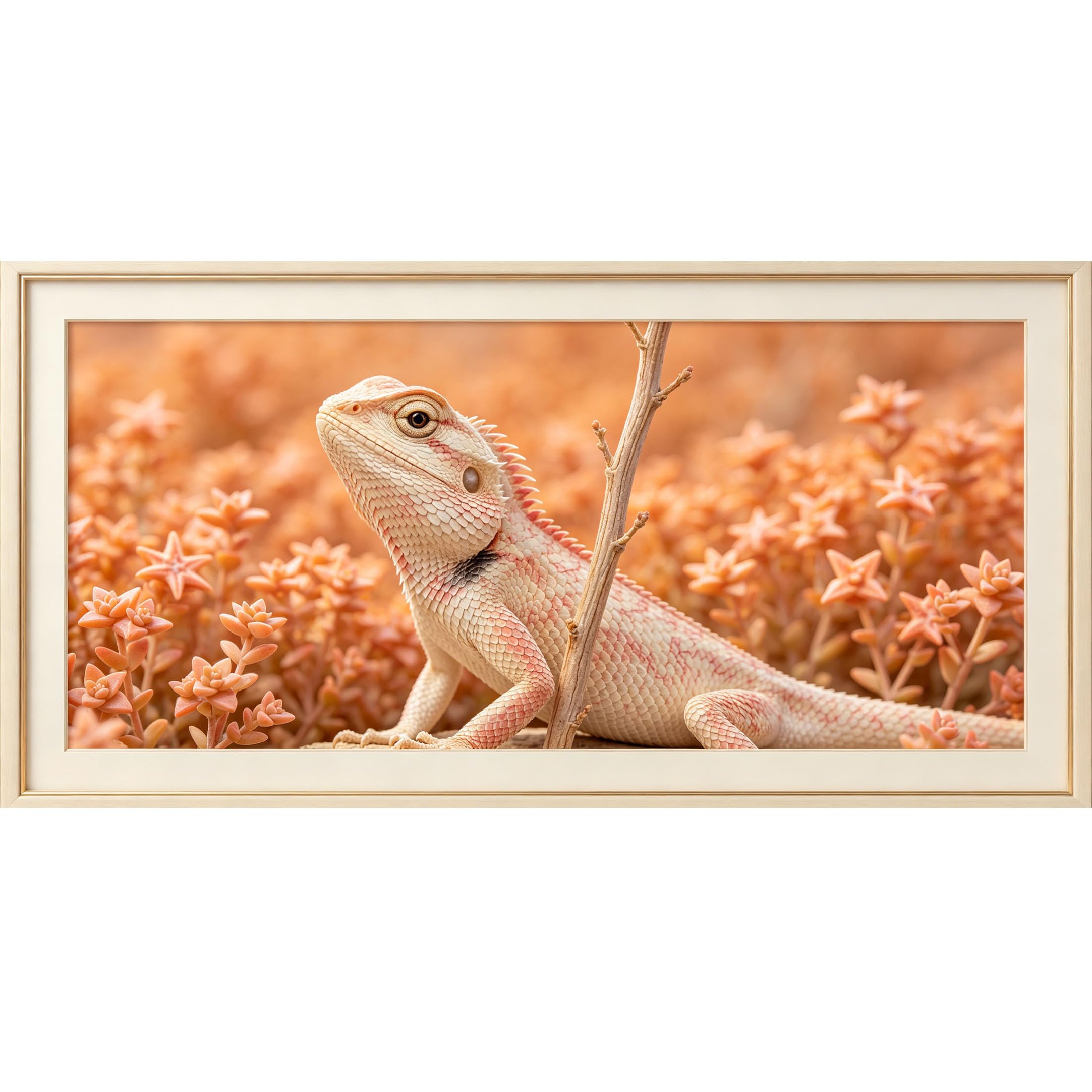 Agglomerix 3D Framed Wall Art Lizard Succulent Botanical Desert Natural Textured Effect Large Size Self-Adhesive Removable Wall Decor Prints Artwork for Living Room Bedroom Office