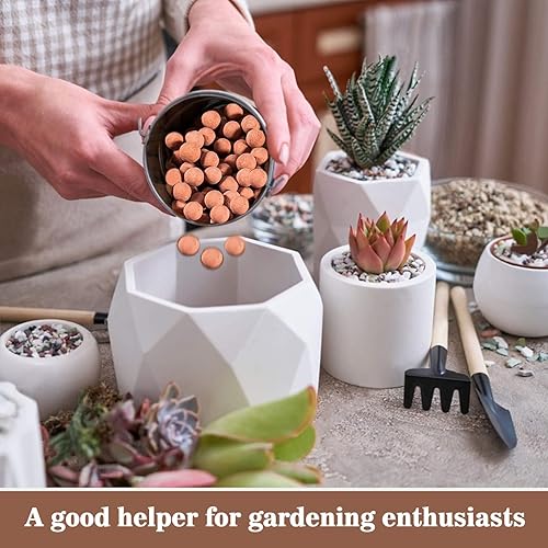 Miniatura 7 de Sukh Guijarros de arcilla para plantas, guijarros de 15 onzas para plantas de interior, arcilla natural, utilizados para decoración de drenaje,