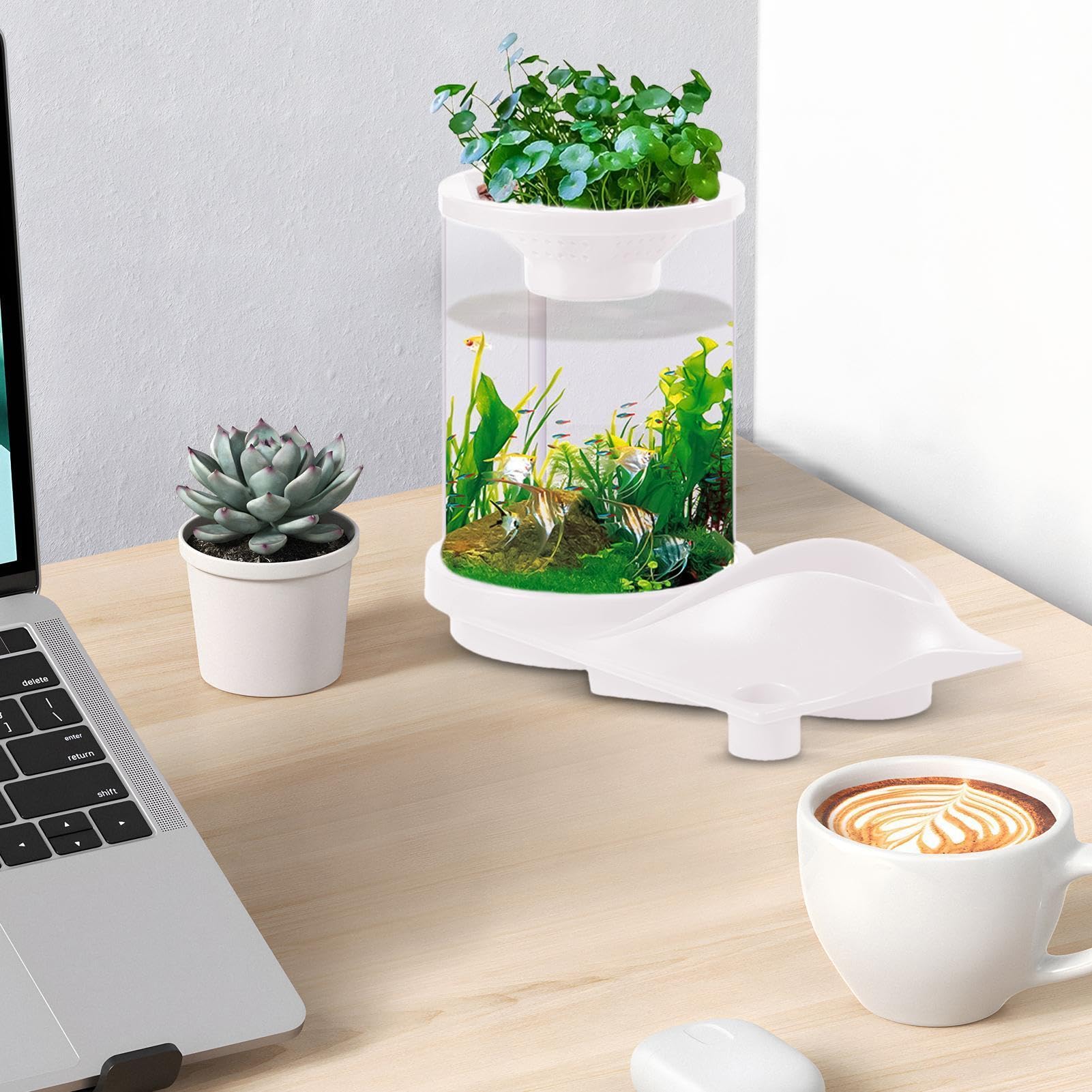 Decoración de ecosistema de tanque acuapónico pequeño