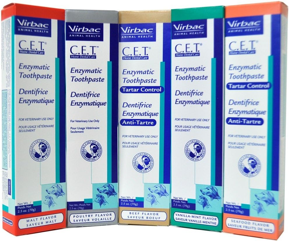 CET Toothpaste for Dogs Cats, Flavor Poultry Amazon.ca Pet Supplies