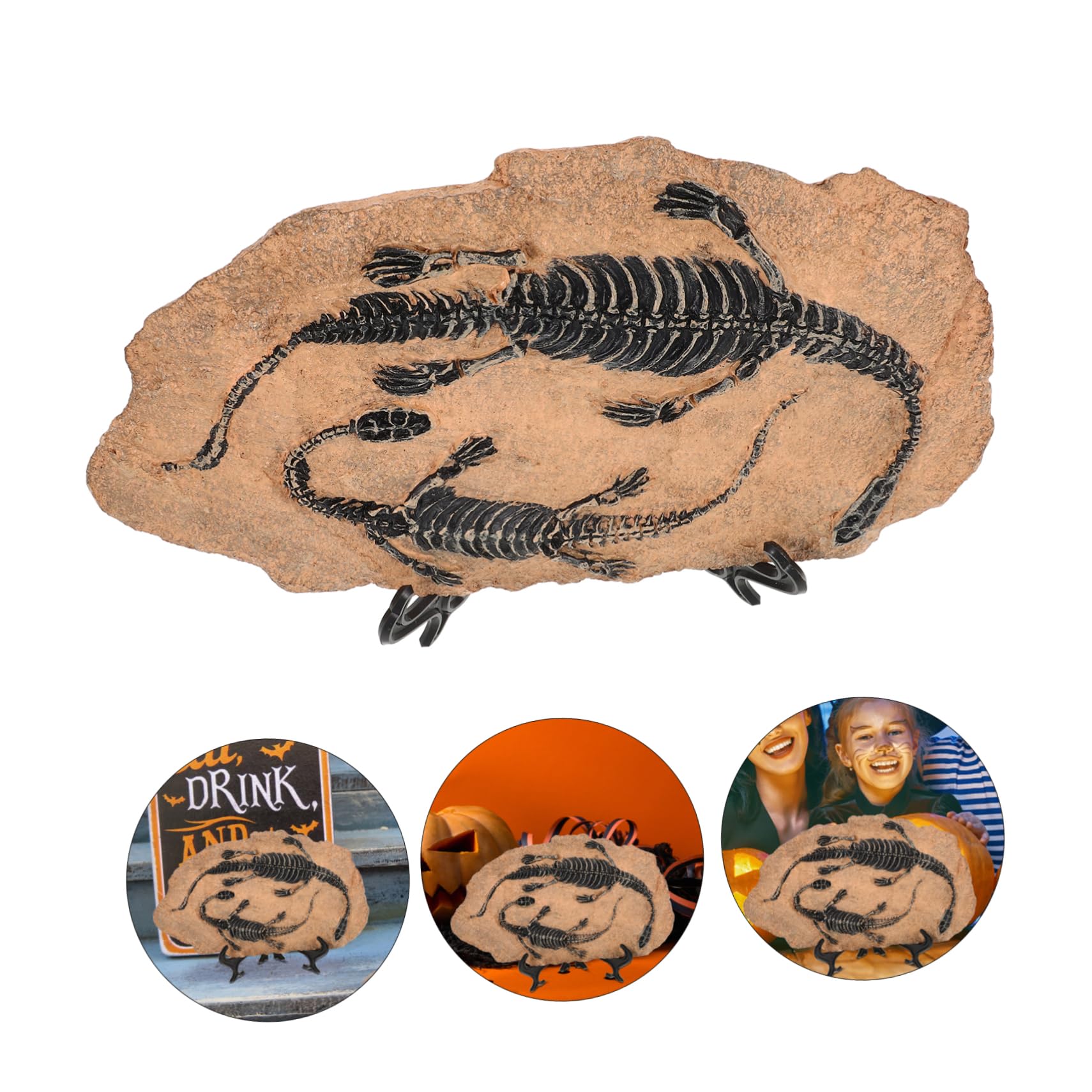 Set Fossile Di Dinosauro Fossile Da Tavolo Ornamento Di Dinosauro Decorazione Di Esemplare Per Collezione