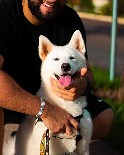 Miniatura 2 de EnerCoppeX Pulseras magnéticas de cobre para mujeres y hombres para artritis y articulaciones, brazaletes ajustables, pulsera de terapia magnética