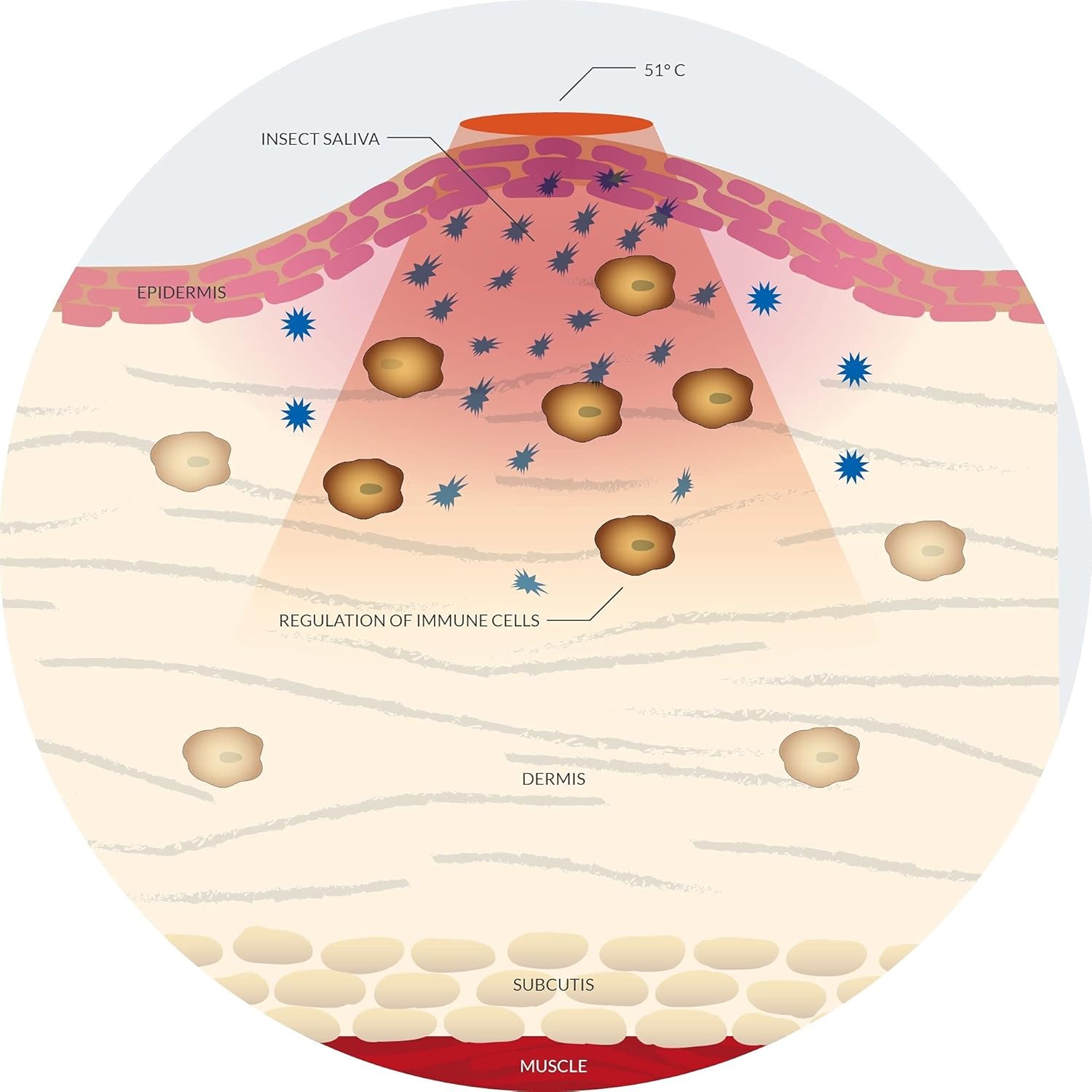 bite away® - Insect Sting and Bite Relief, Chemical-Free Treatment, FDA-Cleared and Dermatologist-Tested. Fast Symptom Relief, Reduce Pain & Itching, No Odor or Residue, FSA/HSA Eligible : Health & Household
