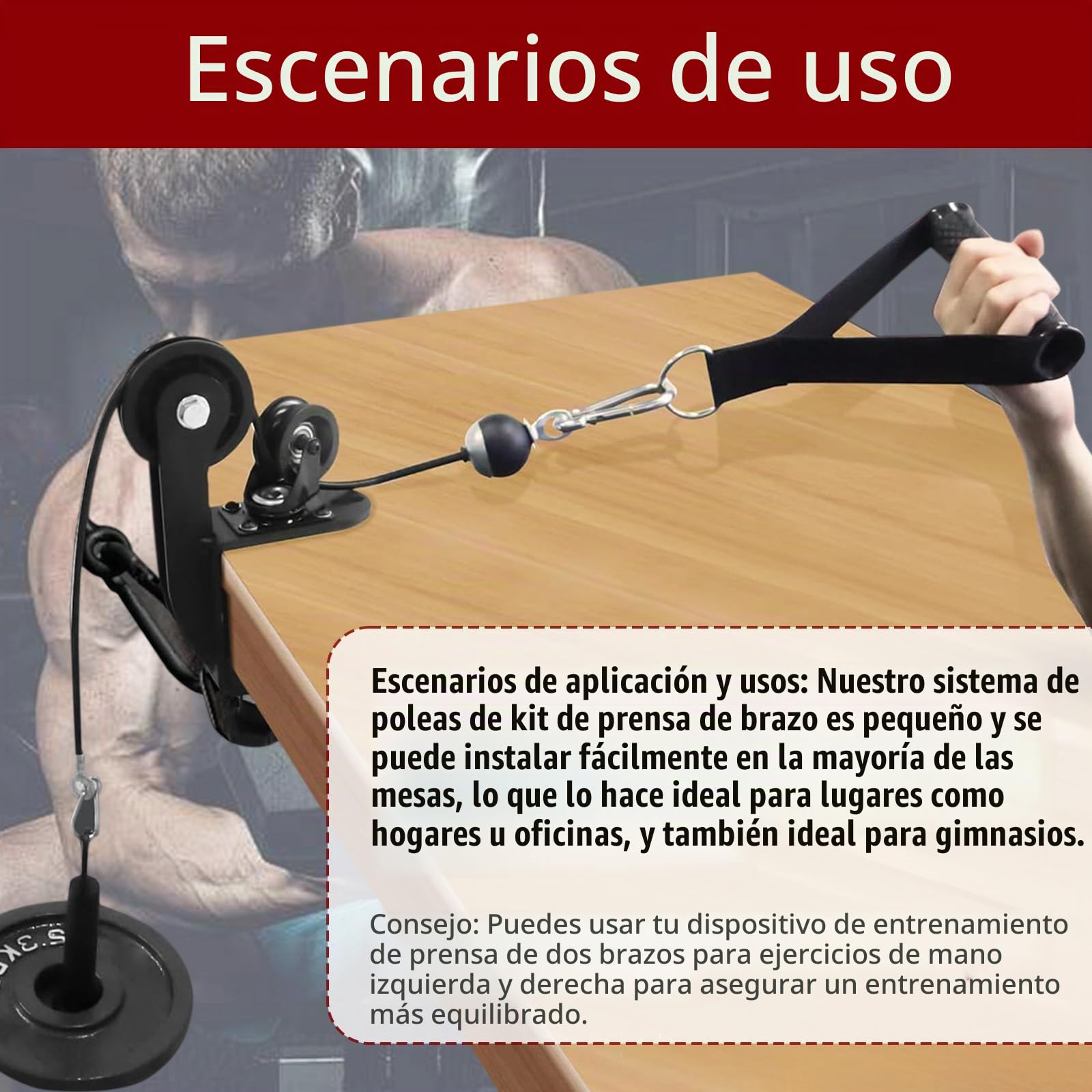 Polea para Entrenamiento de Fuerza de Brazos, Sistema de Poleas para Entrenamiento de Brazos sobre la Mesa, Dispositivo Profesional Entrenador Fuerza Brazos con Pasador de Carga y Cuerda