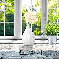 Vista 6 de Juego de difusor de junco, fragancia para el hogar y difusor decorativo, juego de aceite de aromaterapia con flores secas, varillas difusoras