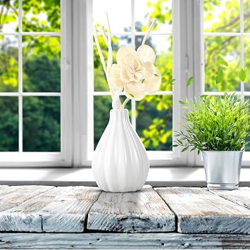 Reed Diffuser Set, Home Fragrance & Decorative Diffuser, Dried Flower Aromatherapy Oil Set, Oil Diffuser Sticks, Ceramic Bottle 5.07 oz(150ml) /1 Pack (Aqua Lily)