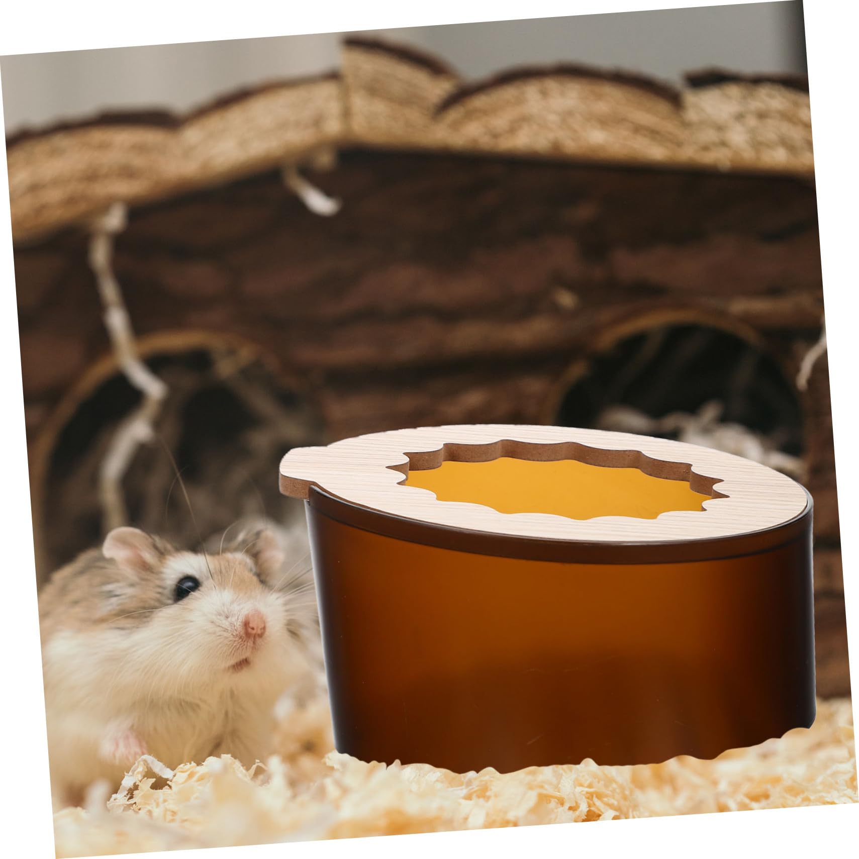 COLLBATH 2 Stück Hamster Sandbad Box Robustes Kleintier Sandbad mit Versteck und Doppelfunktion als Toilette für Zwerghamster und Komfort im Kleintiergehege