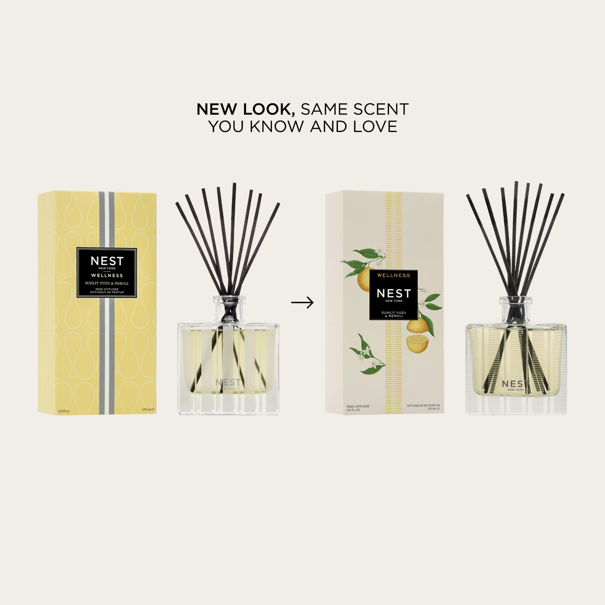 Moodcast Beach Vacay Reed Diffuser - Luxury Scent Diffuser for Home, Fragrance for Bedroom & Bathroom - Mango Blossom, Coconut & Palm Leaf, 8 Reeds, Clean Ingredients - 3.4oz