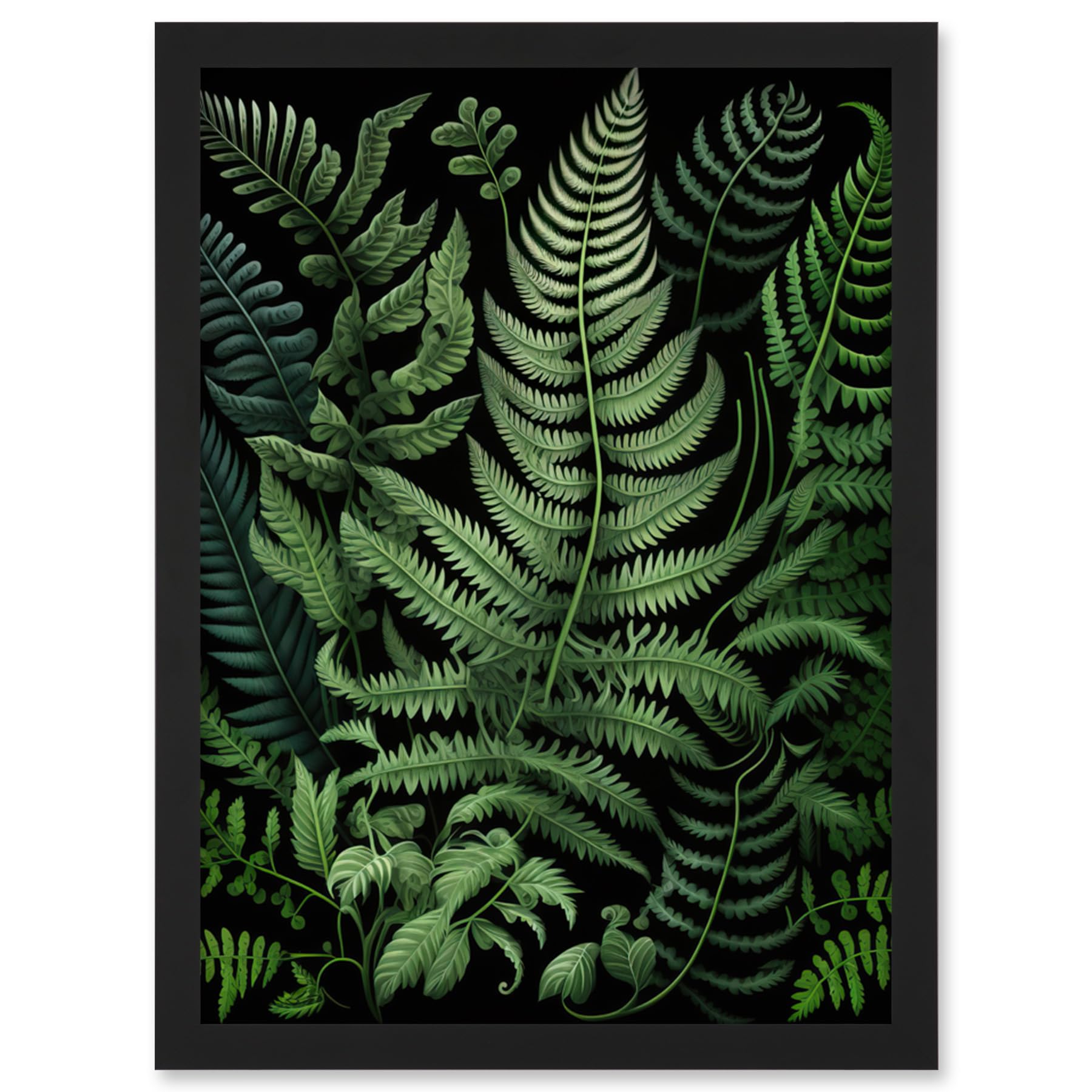 Artery8 Fern Fronds Illustration Ernst Haeckel Style Artwork Framed Wall Art Print A4